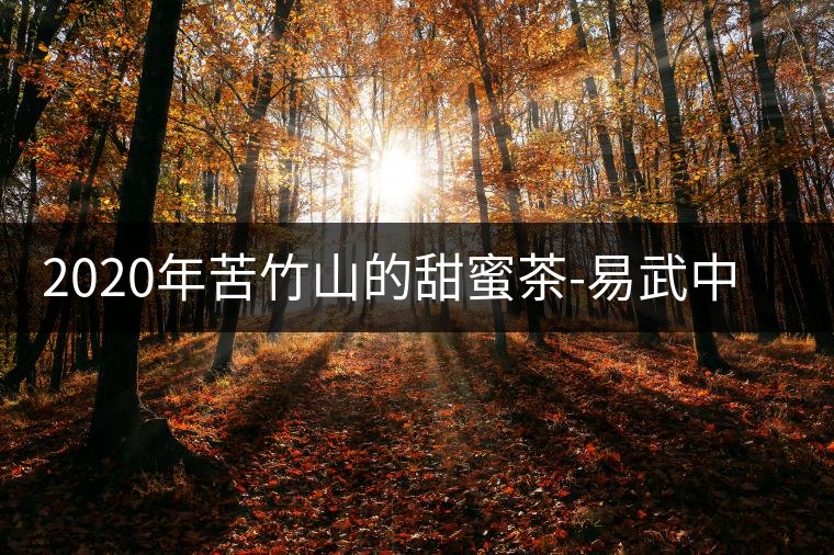 2020年苦竹山的甜蜜茶-易武中聘號