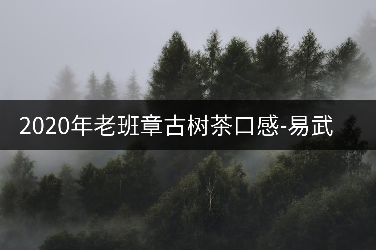 2020年老班章古樹茶口感-易武中聘號 2020年老班章古樹茶口感-易武中聘號