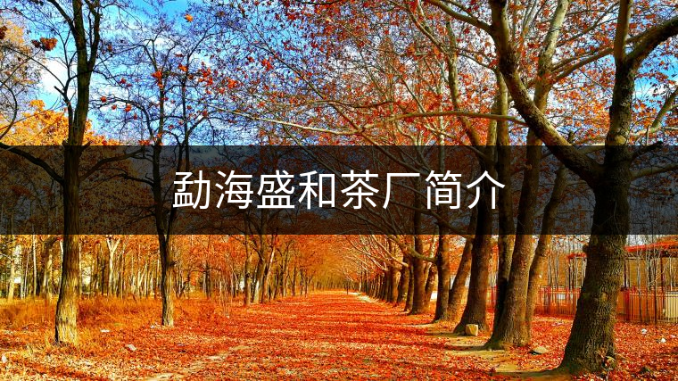 勐海盛和茶廠簡(jiǎn)介 勐海盛和茶廠簡(jiǎn)介