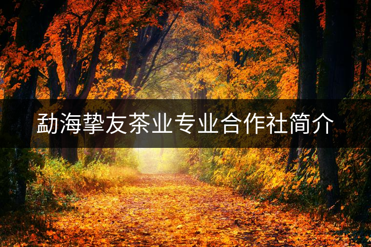 勐海摯友茶業(yè)專業(yè)合作社簡(jiǎn)介