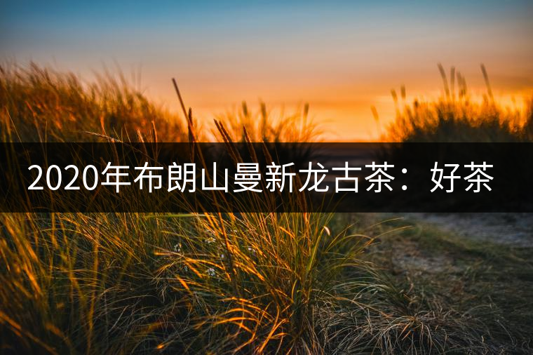 2020年布朗山曼新龍古茶:好茶需細(xì)品-易武中聘號 2020年布朗山曼新龍古茶:好茶需細(xì)品-易武中聘號