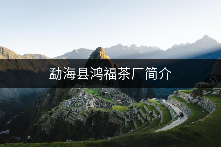勐?？h鴻福茶廠簡介