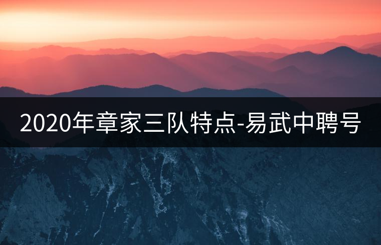 2020年章家三隊特點-易武中聘號