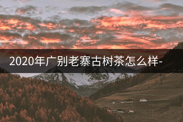 2020年廣別老寨古樹茶怎么樣-易武中聘號 2020年廣別老寨古樹茶怎么樣-易武中聘號
