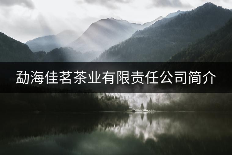 勐海佳茗茶業(yè)有限責(zé)任公司簡介 勐海佳茗茶業(yè)有限責(zé)任公司簡介