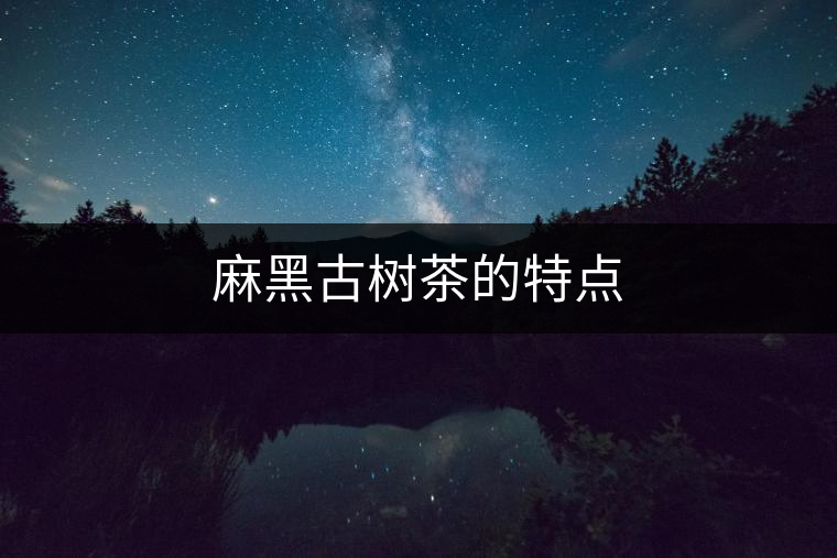 麻黑古樹(shù)茶的特點(diǎn)