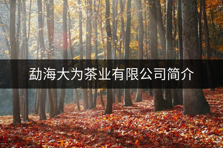 勐海大為茶業(yè)有限公司簡(jiǎn)介 勐海大為茶業(yè)有限公司簡(jiǎn)介