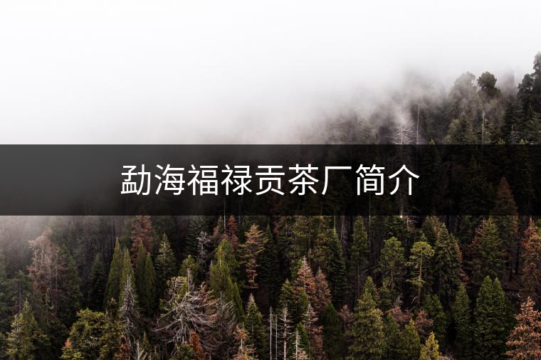 勐海福祿貢茶廠簡介