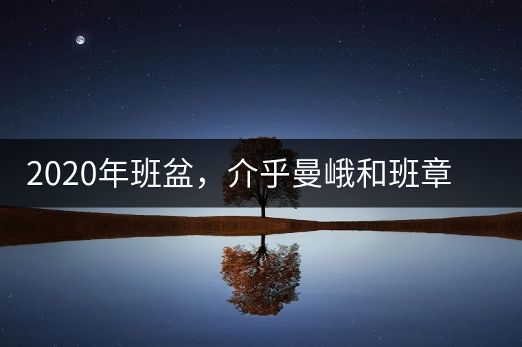 2020年班盆，介乎曼峨和班章間的“老漢子”-易武中聘號(hào)