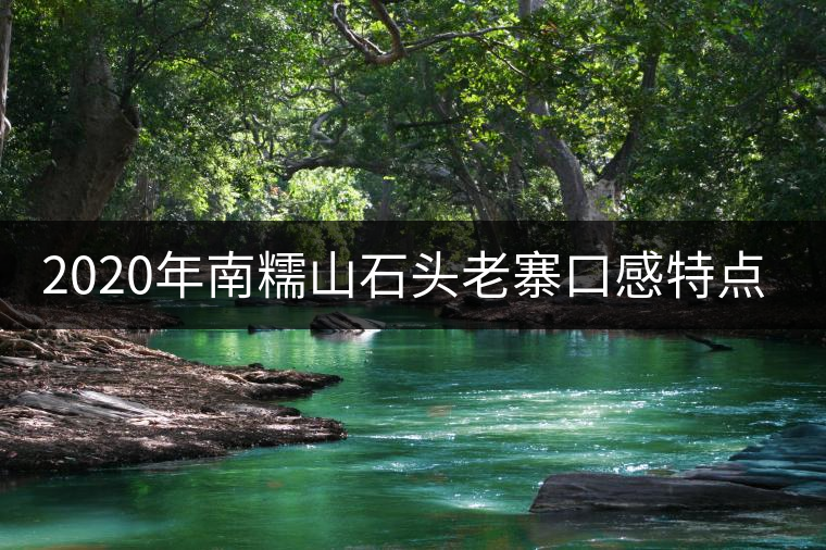 2020年南糯山石頭老寨口感特點(diǎn)-易武中聘號(hào) 2020年南糯山石頭老寨口感特點(diǎn)-易武中聘號(hào)
