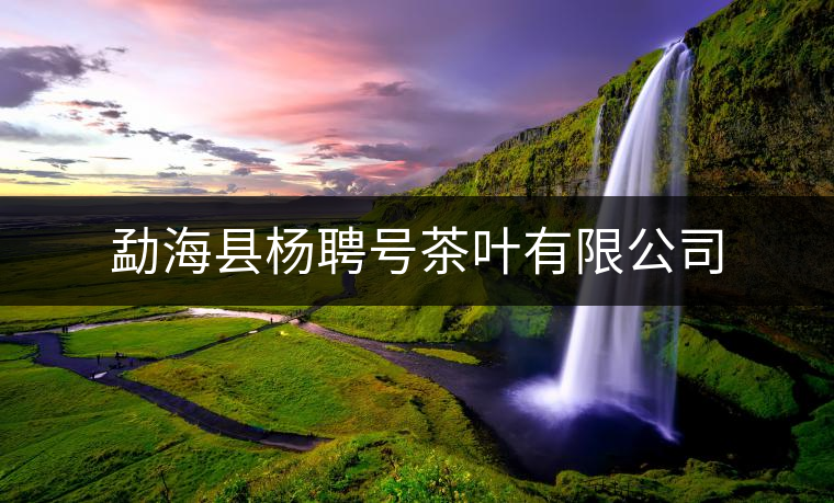 勐?？h楊聘號茶葉有限公司