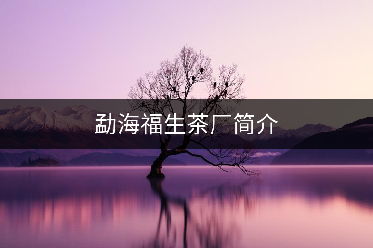 勐海福生茶廠簡(jiǎn)介