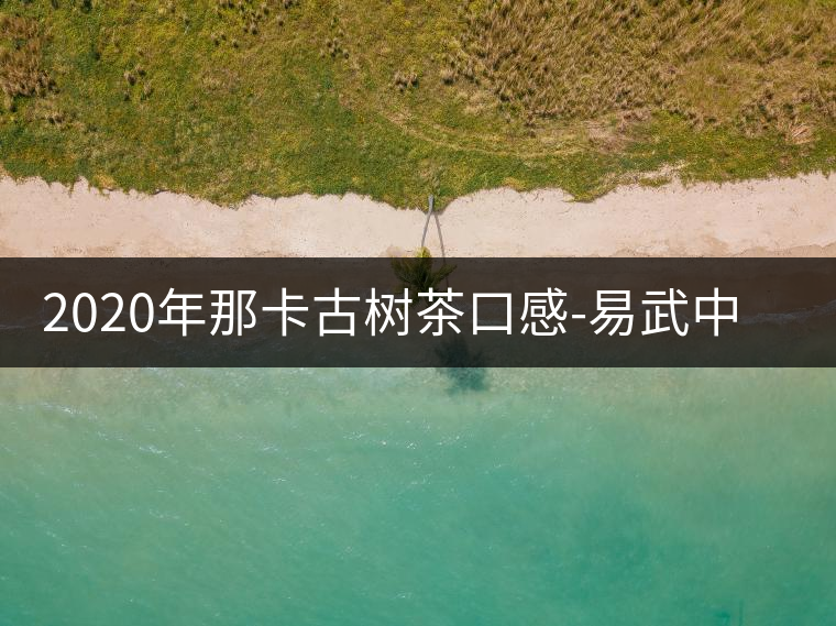 2020年那卡古樹(shù)茶口感-易武中聘號(hào) 2020年那卡古樹(shù)茶口感-易武中聘號(hào)