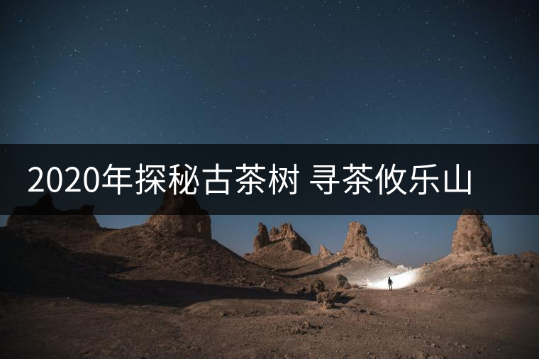 2020年探秘古茶樹 尋茶攸樂山 -易武中聘號 2020年探秘古茶樹 尋茶攸樂山 -易武中聘號