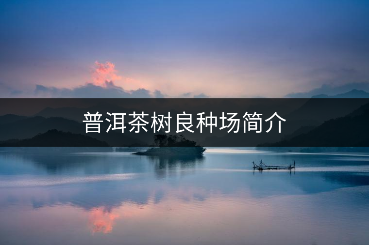 普洱茶樹良種場(chǎng)簡(jiǎn)介