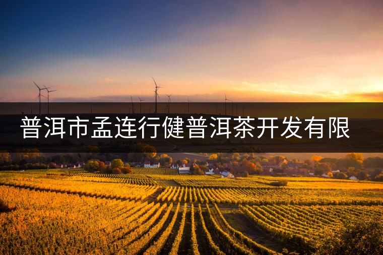 普洱市孟連行健普洱茶開發(fā)有限公司簡(jiǎn)介 普洱市孟連行健普洱茶開發(fā)有限公司簡(jiǎn)介