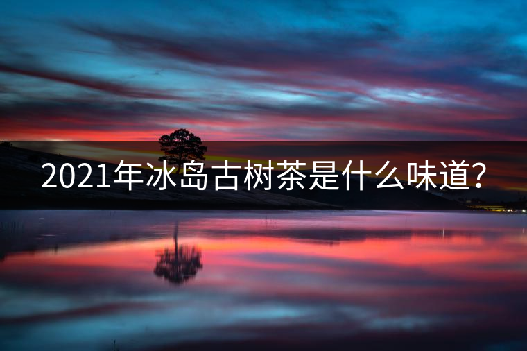 2021年冰島古樹茶是什么味道？