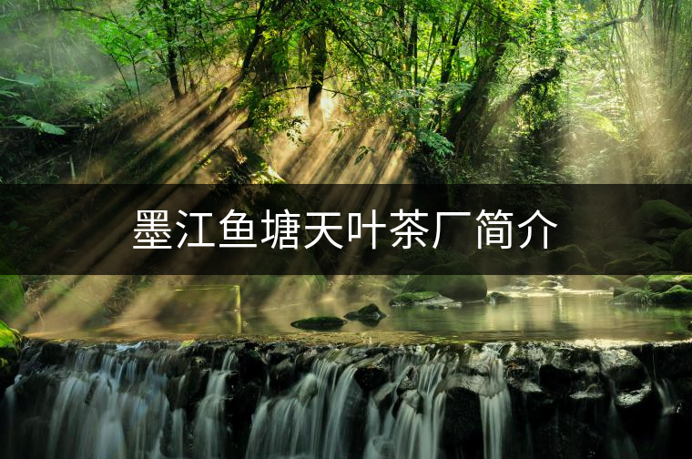 墨江魚(yú)塘天葉茶廠簡(jiǎn)介