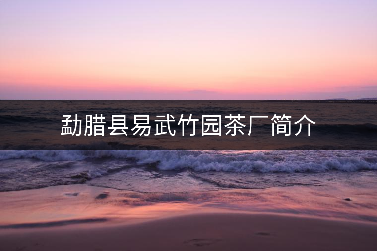 勐臘縣易武竹園茶廠簡介