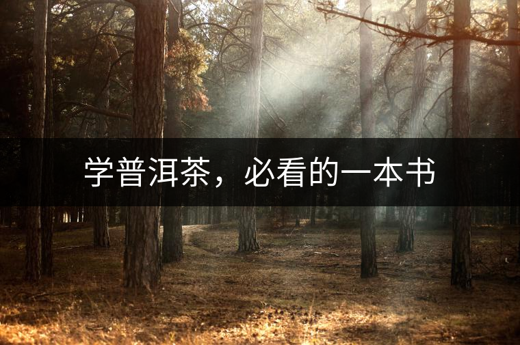 學(xué)普洱茶，必看的一本書