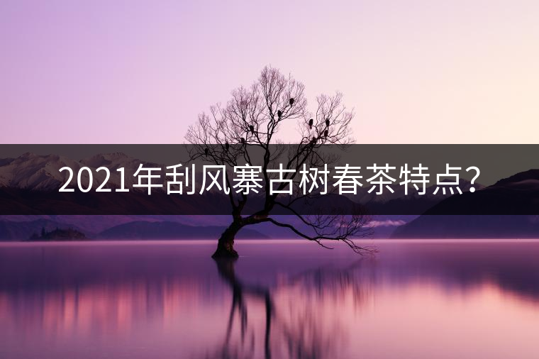 2021年刮風(fēng)寨古樹春茶特點(diǎn)? 2021年刮風(fēng)寨古樹春茶特點(diǎn)?