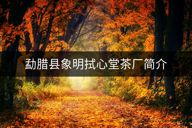 勐臘縣象明拭心堂茶廠簡(jiǎn)介 勐臘縣象明拭心堂茶廠簡(jiǎn)介