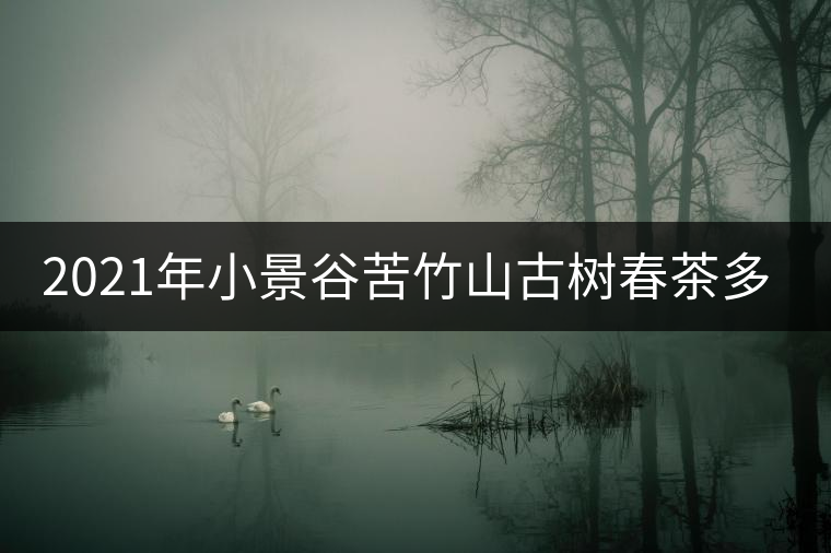 2021年小景谷苦竹山古樹春茶多少錢一公斤？