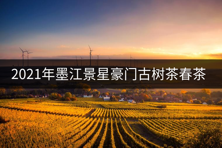 2021年墨江景星豪門古樹茶春茶價格多少錢一斤？