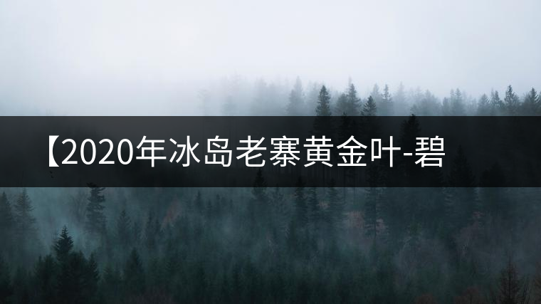 【2020年冰島老寨黃金葉-碧波蕩漾一抹香，輕啜半盞甘若露。