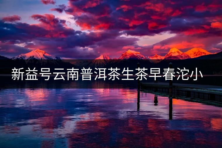 新益號云南普洱茶生茶早春沱小沱茶坨茶滋味如何？