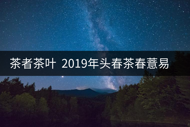 茶者茶葉  2019年頭春茶春薏易武古樹茶  值得收藏嗎？