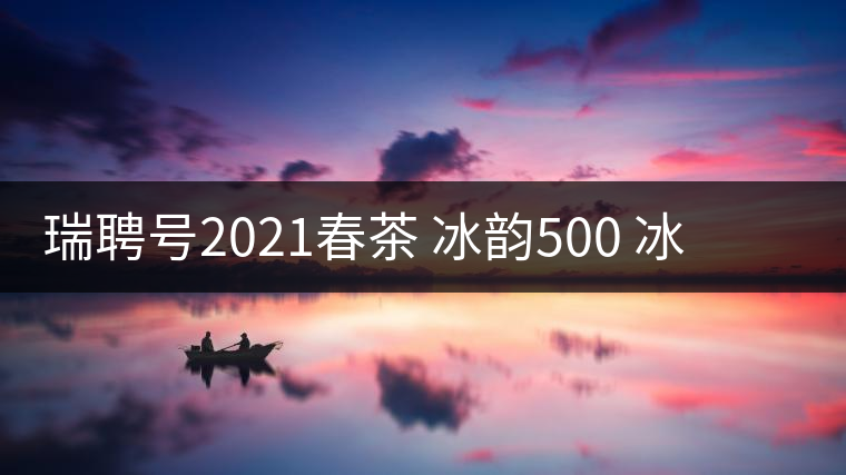 瑞聘號2021春茶 冰韻500 冰島頭春古樹茶口感好不好？