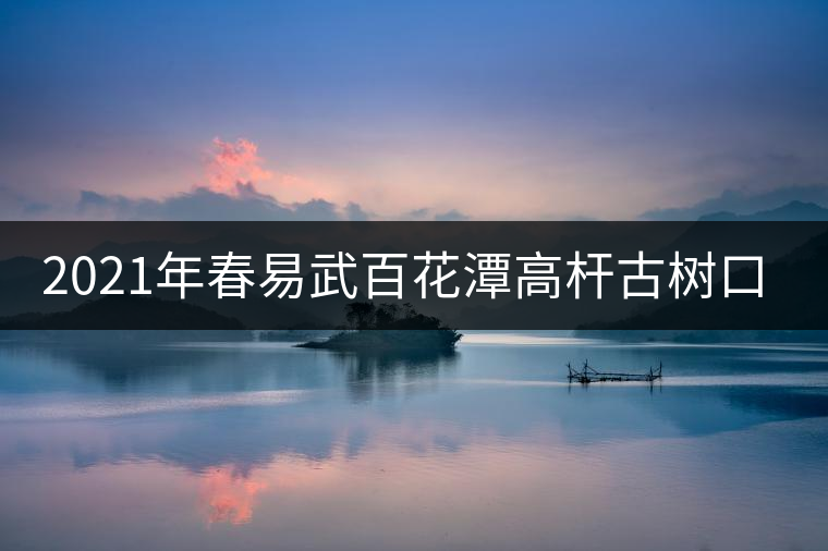 2021年春易武百花潭高桿古樹(shù)口感測(cè)評(píng) 2021年春易武百花潭高桿古樹(shù)口感測(cè)評(píng)