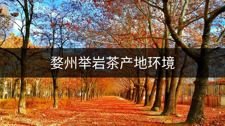 婺州舉巖茶產(chǎn)地環(huán)境 婺州舉巖茶產(chǎn)地環(huán)境