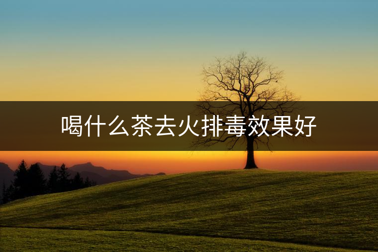 喝什么茶去火排毒效果好
