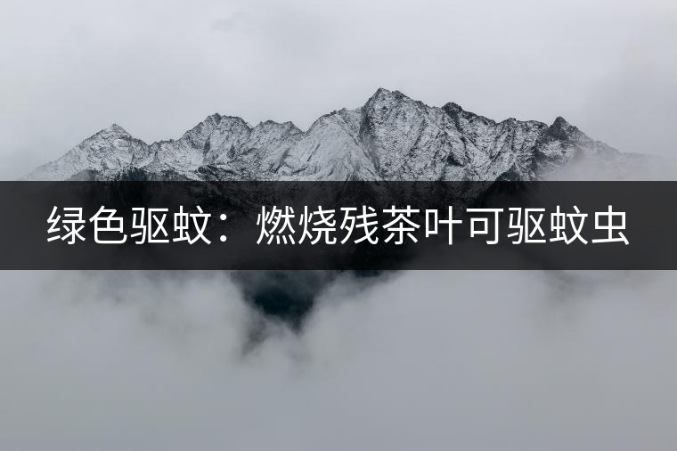 綠色驅(qū)蚊：燃燒殘茶葉可驅(qū)蚊蟲