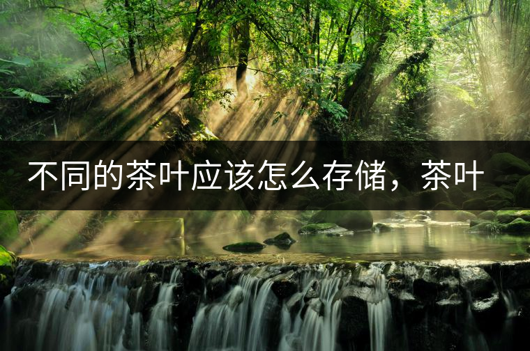 不同的茶葉應該怎么存儲，茶葉罐又該如何選擇？