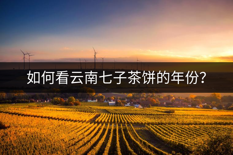 如何看云南七子茶餅的年份？