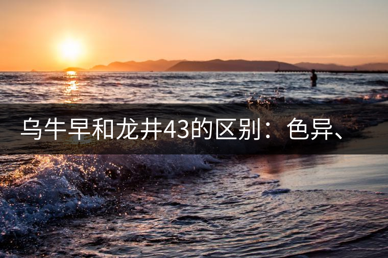 烏牛早和龍井43的區(qū)別：色異、香異、形異