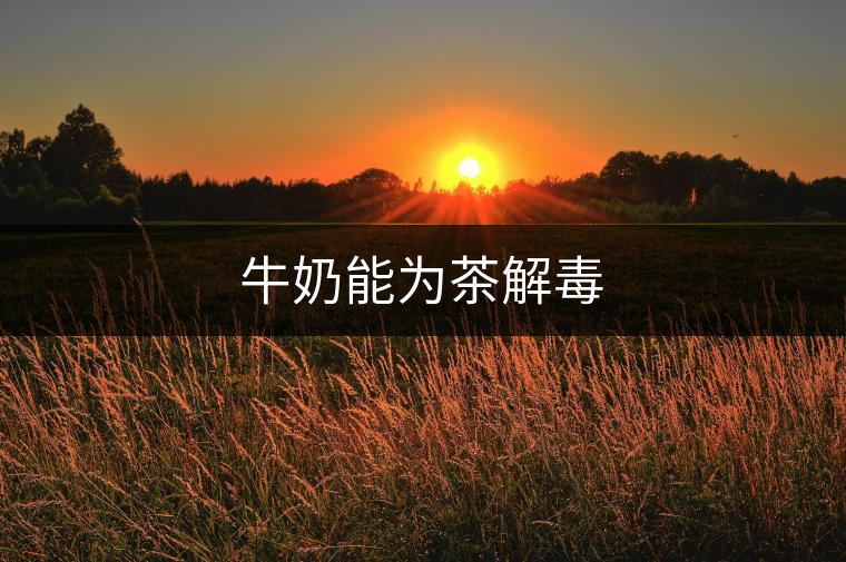 牛奶能為茶解毒 牛奶能為茶解毒