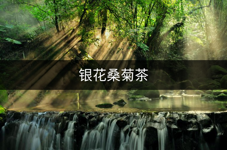 銀花桑菊茶 銀花桑菊茶