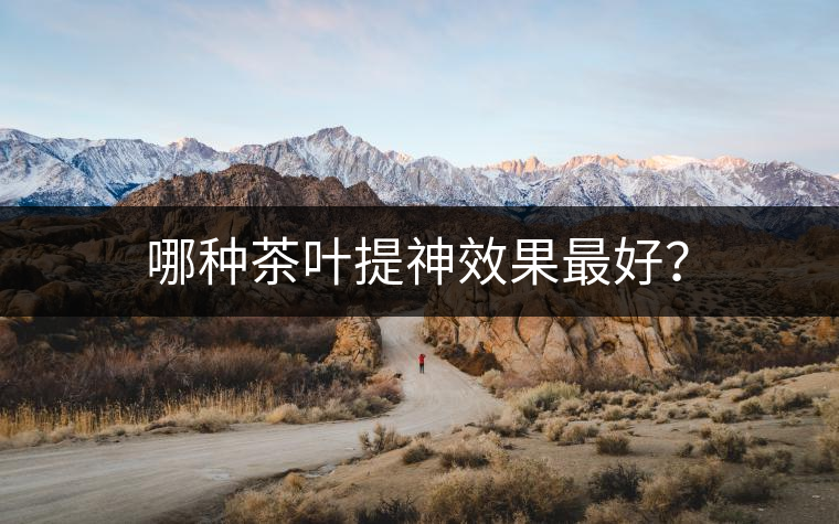 哪種茶葉提神效果最好？