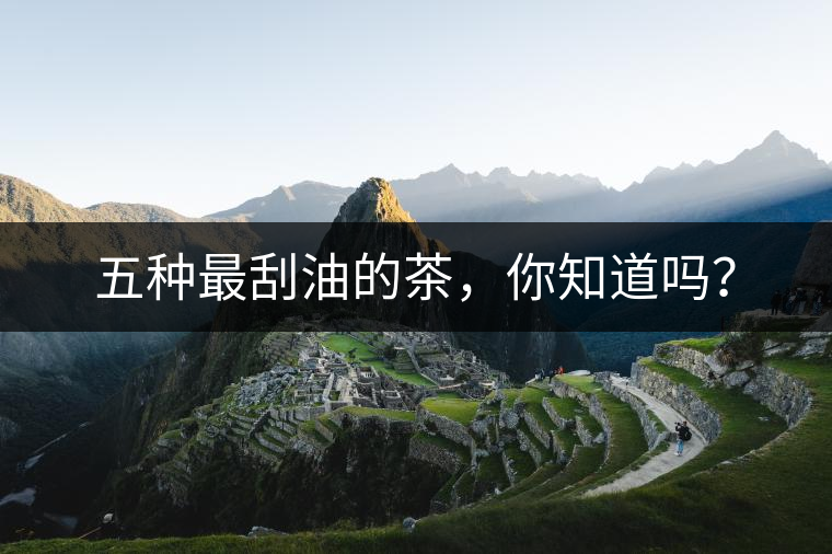 五種最刮油的茶，你知道嗎？