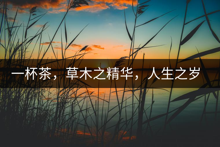 一杯茶，草木之精華，人生之歲月