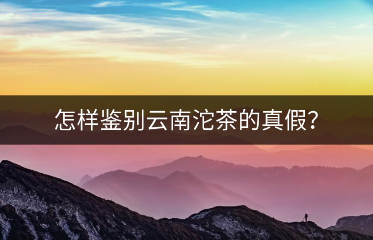 怎樣鑒別云南沱茶的真假？