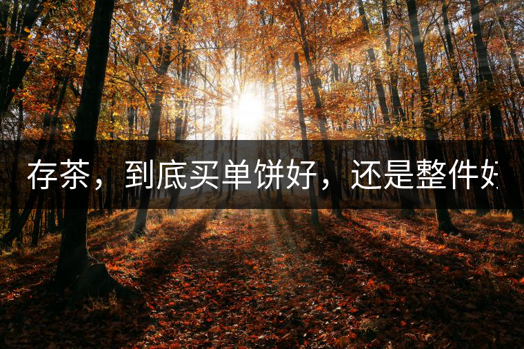 存茶，到底買單餅好，還是整件好？