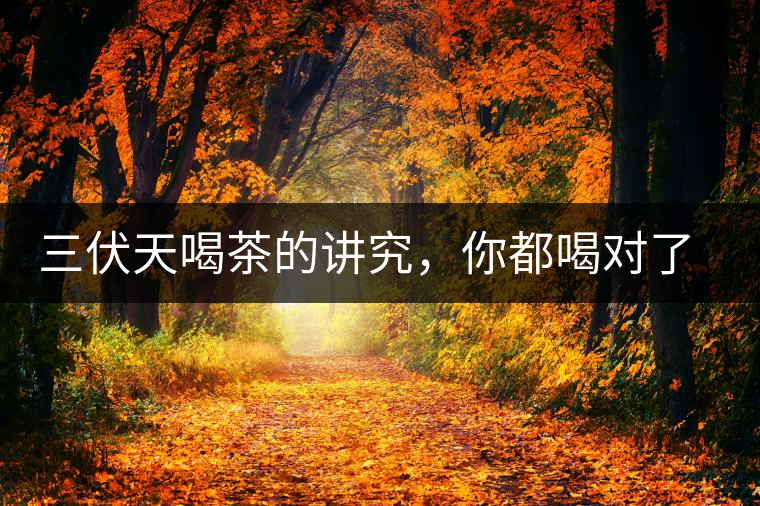 三伏天喝茶的講究，你都喝對了嗎？