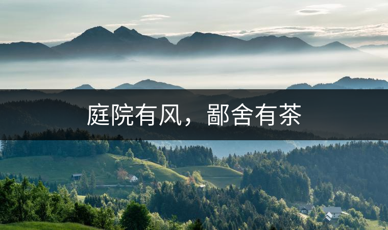 庭院有風(fēng)，鄙舍有茶