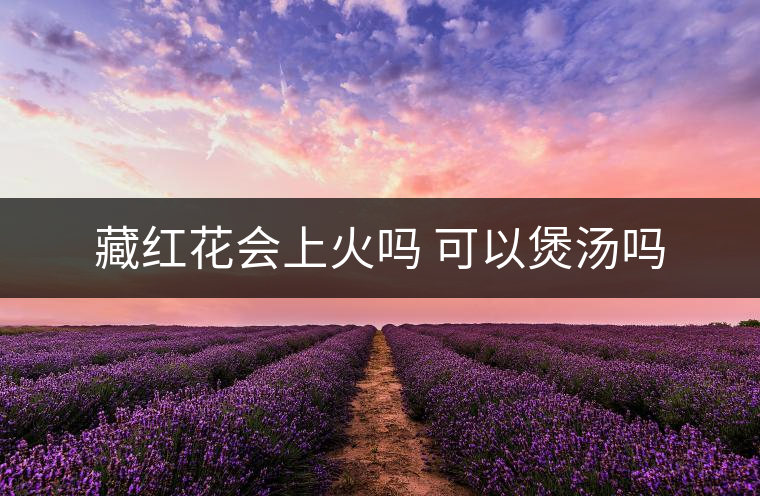 藏紅花會上火嗎 可以煲湯嗎