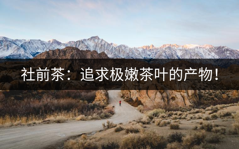 社前茶：追求極嫩茶葉的產(chǎn)物！